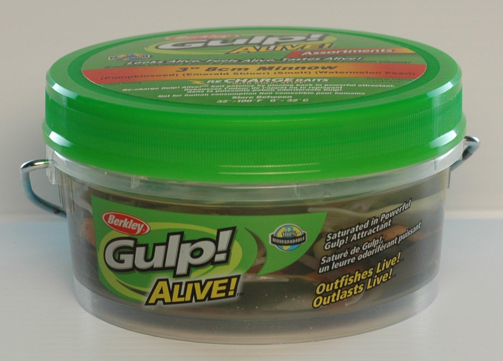gulp alive minnow