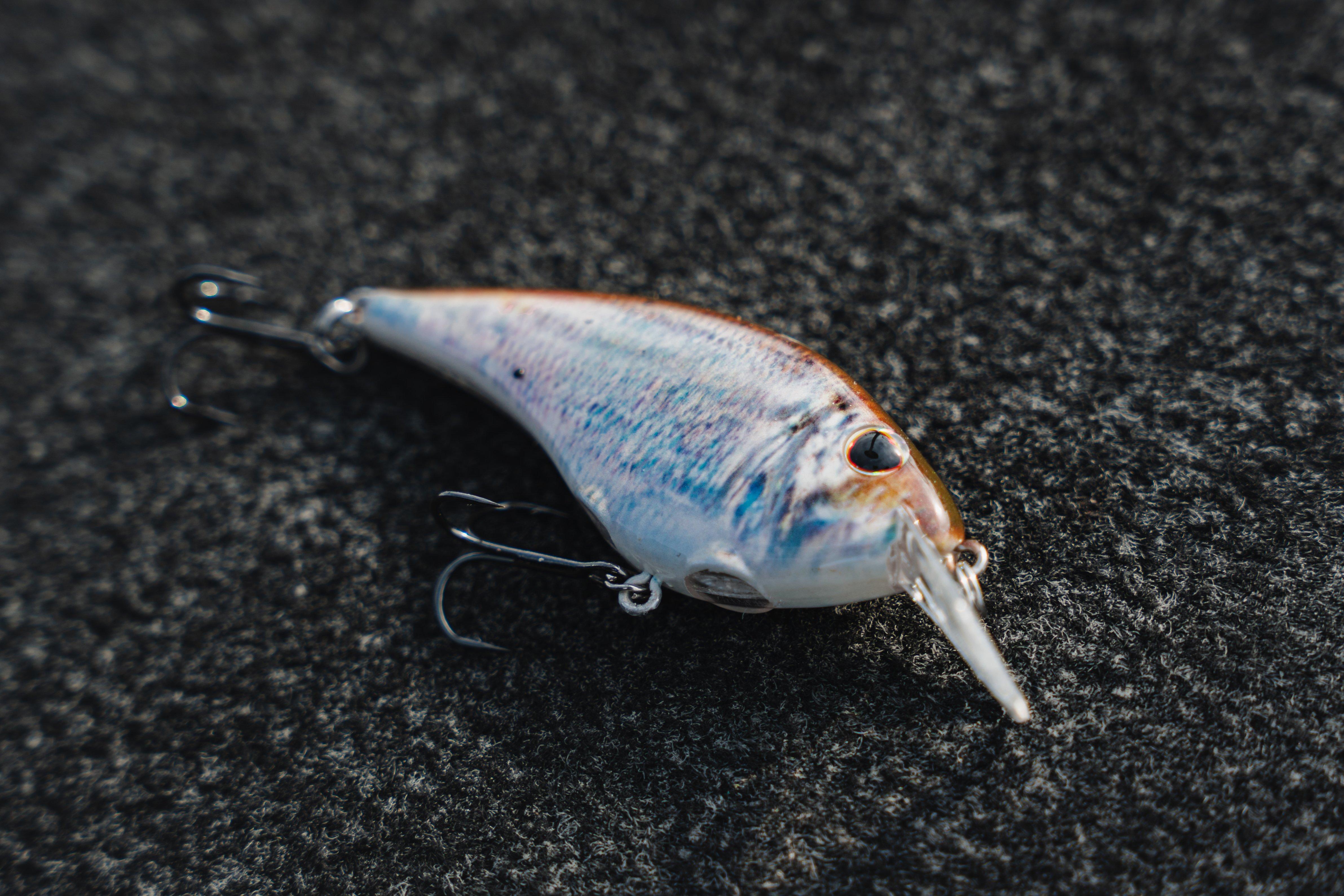 david fritts crankbait