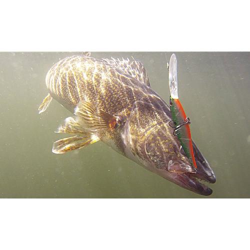 http://media.purefishing.com/i/penn/BERKLEY_HARD_BAIT_FLICKER_MINNOW_LIFESTYLE_2021_004?w=500&h=500&img404=404&v=1