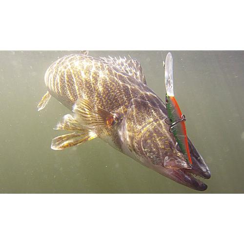 Berkley flicker deals minnow