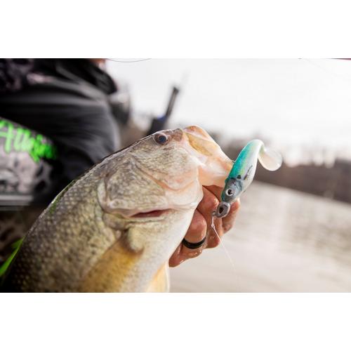 PowerBait® Hollow Belly – Fisherman's Factory Outlet