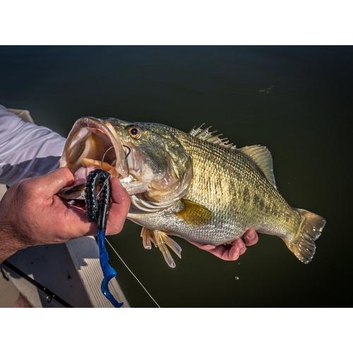 PowerBait® Power Worms®