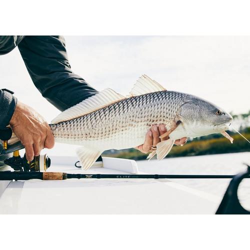 FREE LURE] FENWICK ELITE TECH BASS SPINNING & CASTING CARBON FISHING ROD  🔥Ready Stock🔥 100% Original🔥