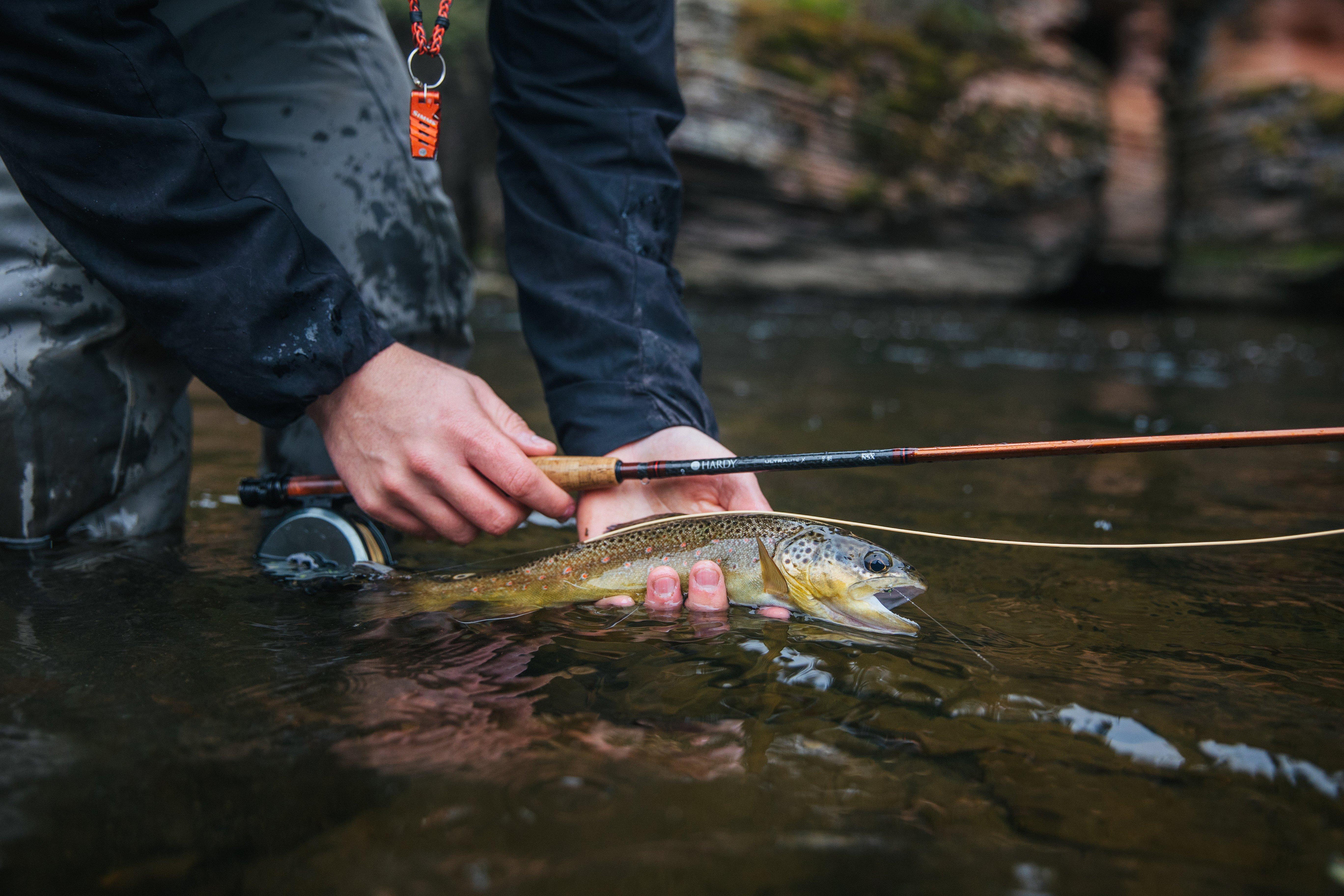 hardy fishing rod