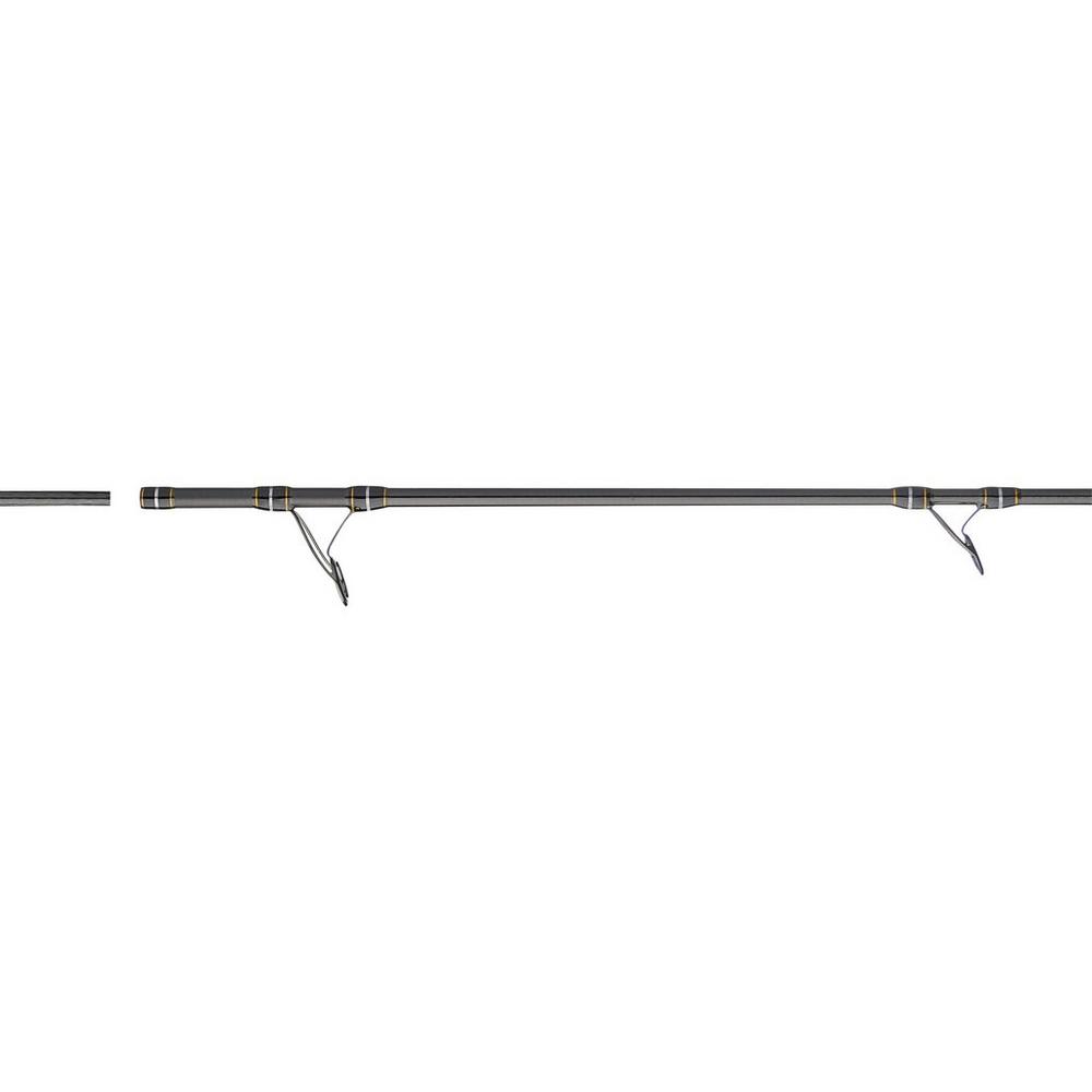 PENN Carnage III Surf Spinning Rods