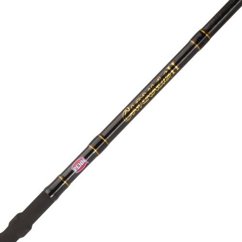 PENN Fishing - The PENN Carnage II Surf rods are the next generation of  lightweight but powerful surf rods. Engineered to handle the stresses of surf  fishing.