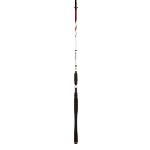 PENN NEW Squadron II MK2 SW Spinning Fishing Rods 2PC 