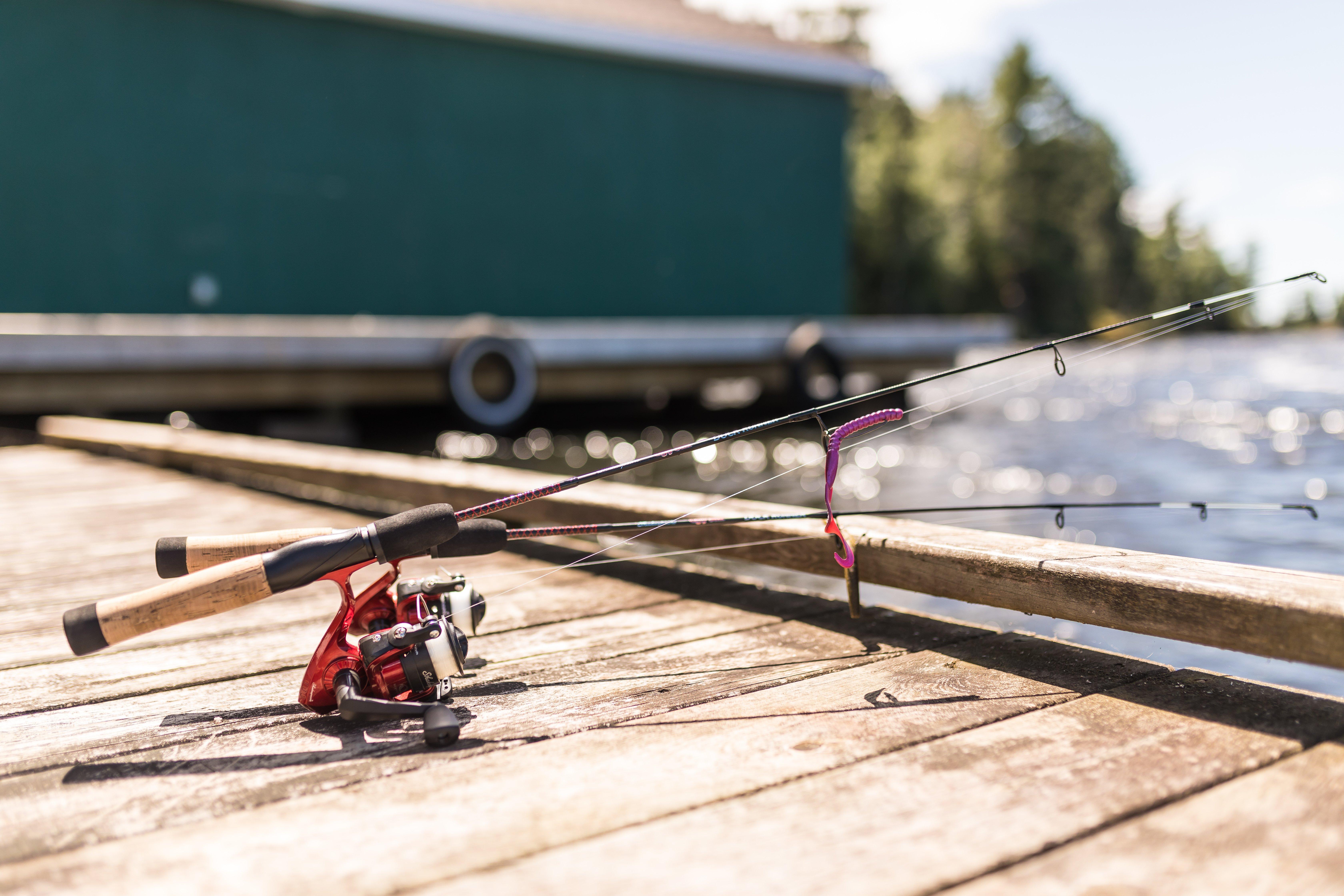 ugly stik dock demon