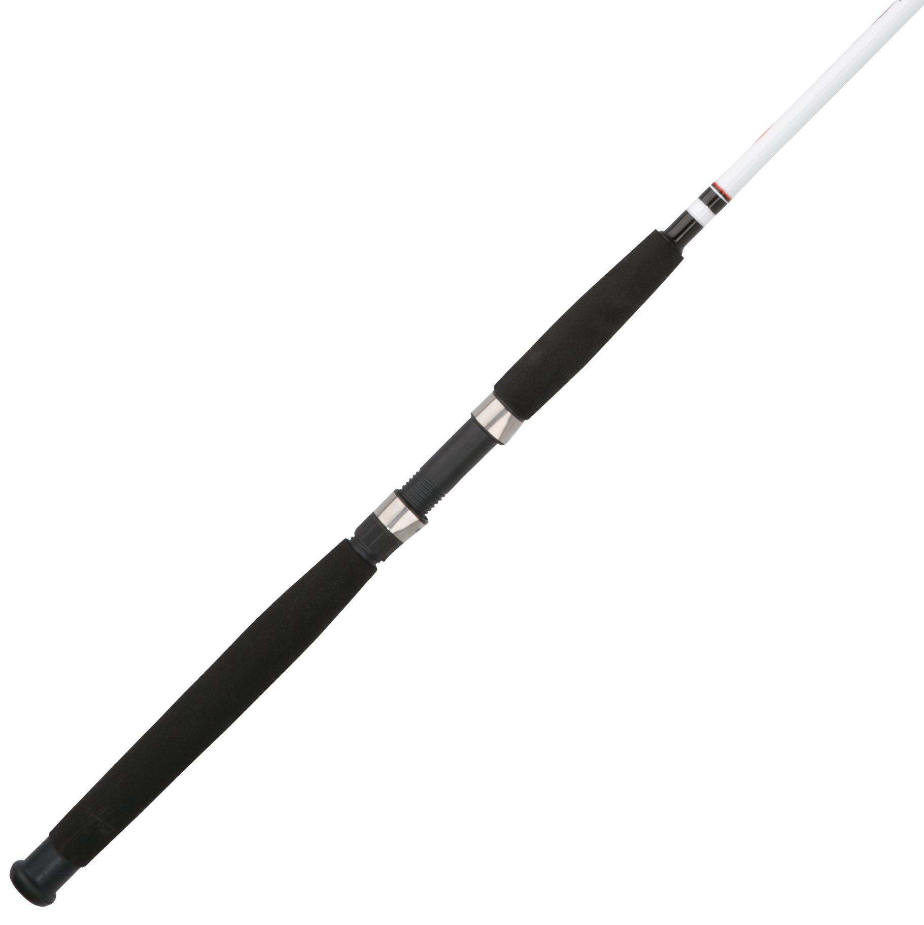 berkley big game rod and reel combo