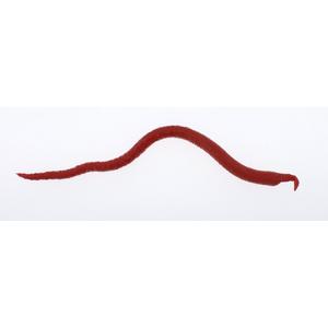 Berkley - Gulp! Extruded Bloodworm Bloody