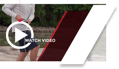 Watch Veritas video