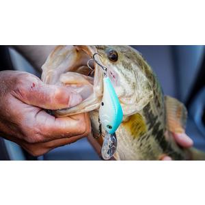 Berkley Dredger Fishing Lure, Rubbertail, 1 1/8 oz 