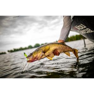 Berkley Gulp Minnow Fishing Lure 18 Pcs - Finish-Tackle