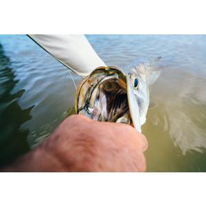 18 Pcs Lure Lure Bass Hard Baits lipless crankbait Gulp Saltwater Fishing  Bait Artificial Fishing Tools bass Fishing Lures Reusable Sinking Lures