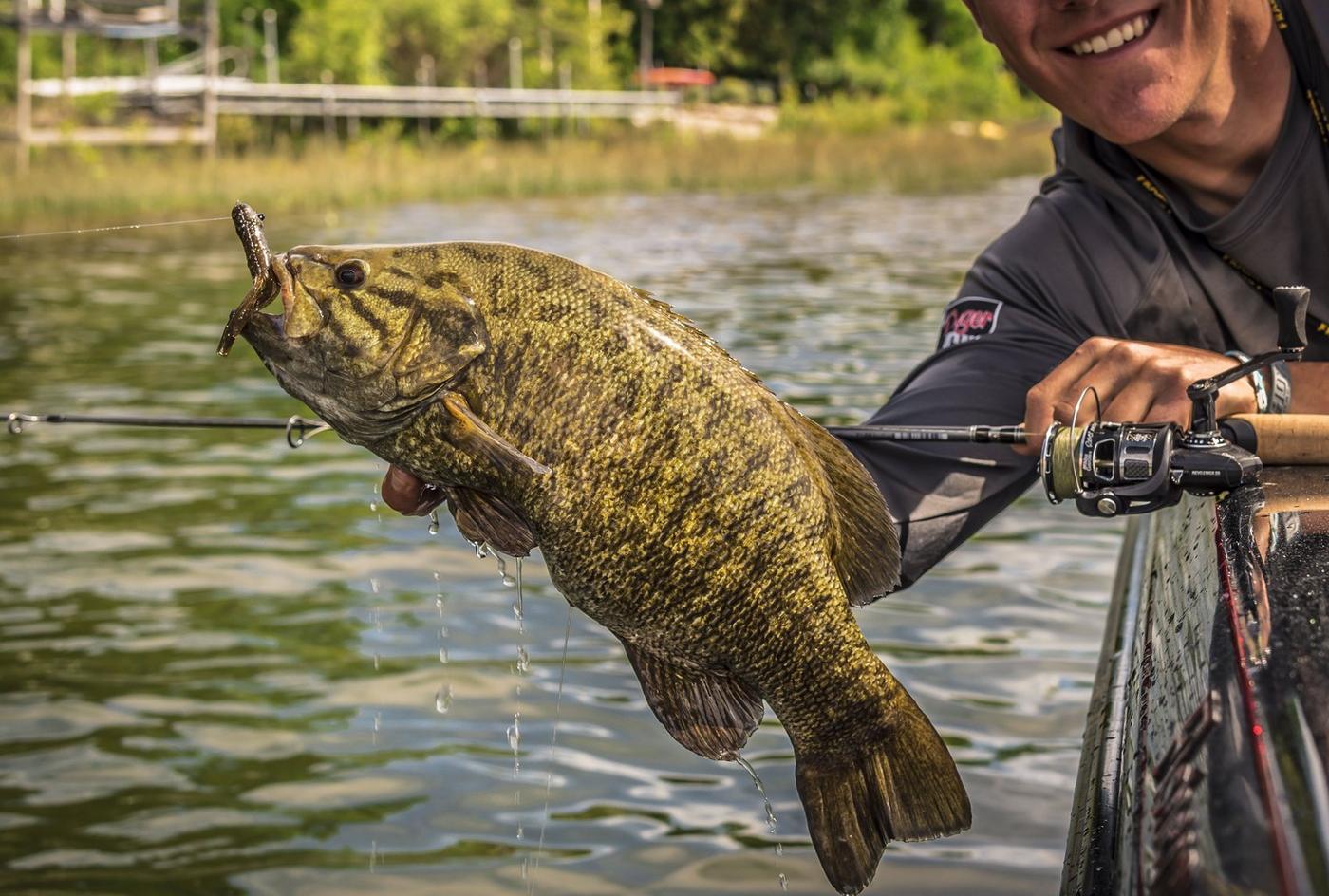 Angler holding smallmouth bass off side of boat