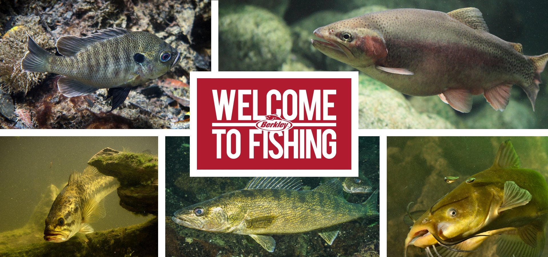 Welcome to Fishing - Berkley® Fishing US