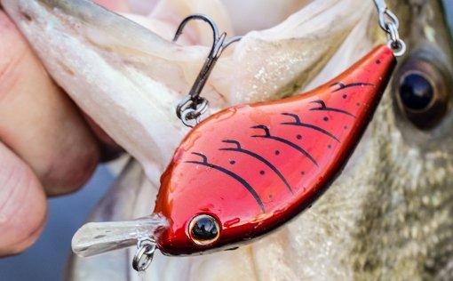 twh has the new berkley havoc for preorder ? - Fishing Tackle