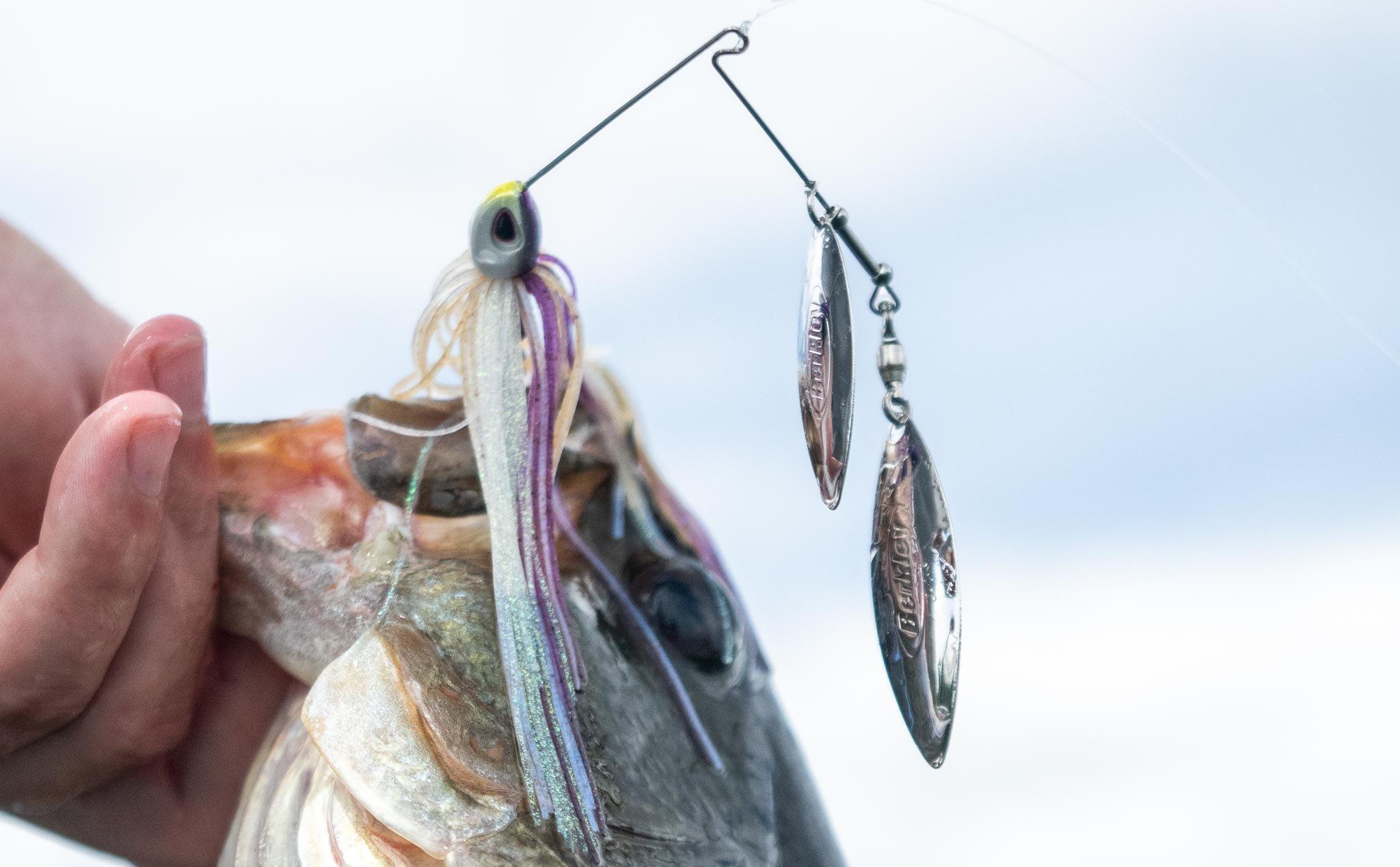 Fishing tackle from the world's most trusted fishing gear brands - Pure  Fishing