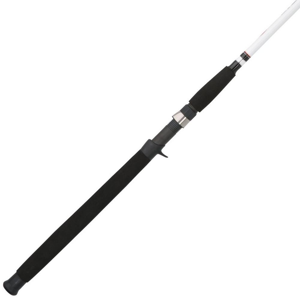 Berkley big game rod sale