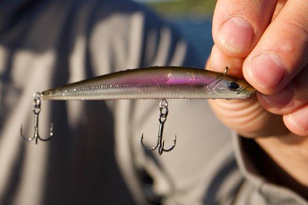 Buy Berkeley Fishing Line online