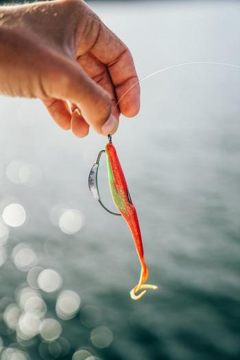 Sabiki Fishing Lure, Shad Fishing Lure, Fishing Rigs, Sabiki Hooks