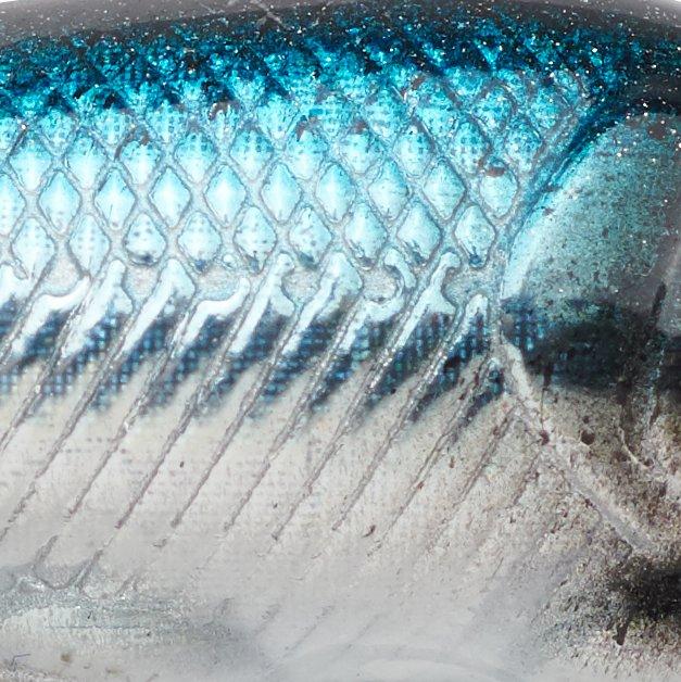 Blue Bullet