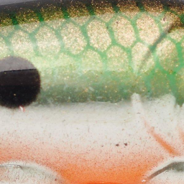 Tennessee Shad