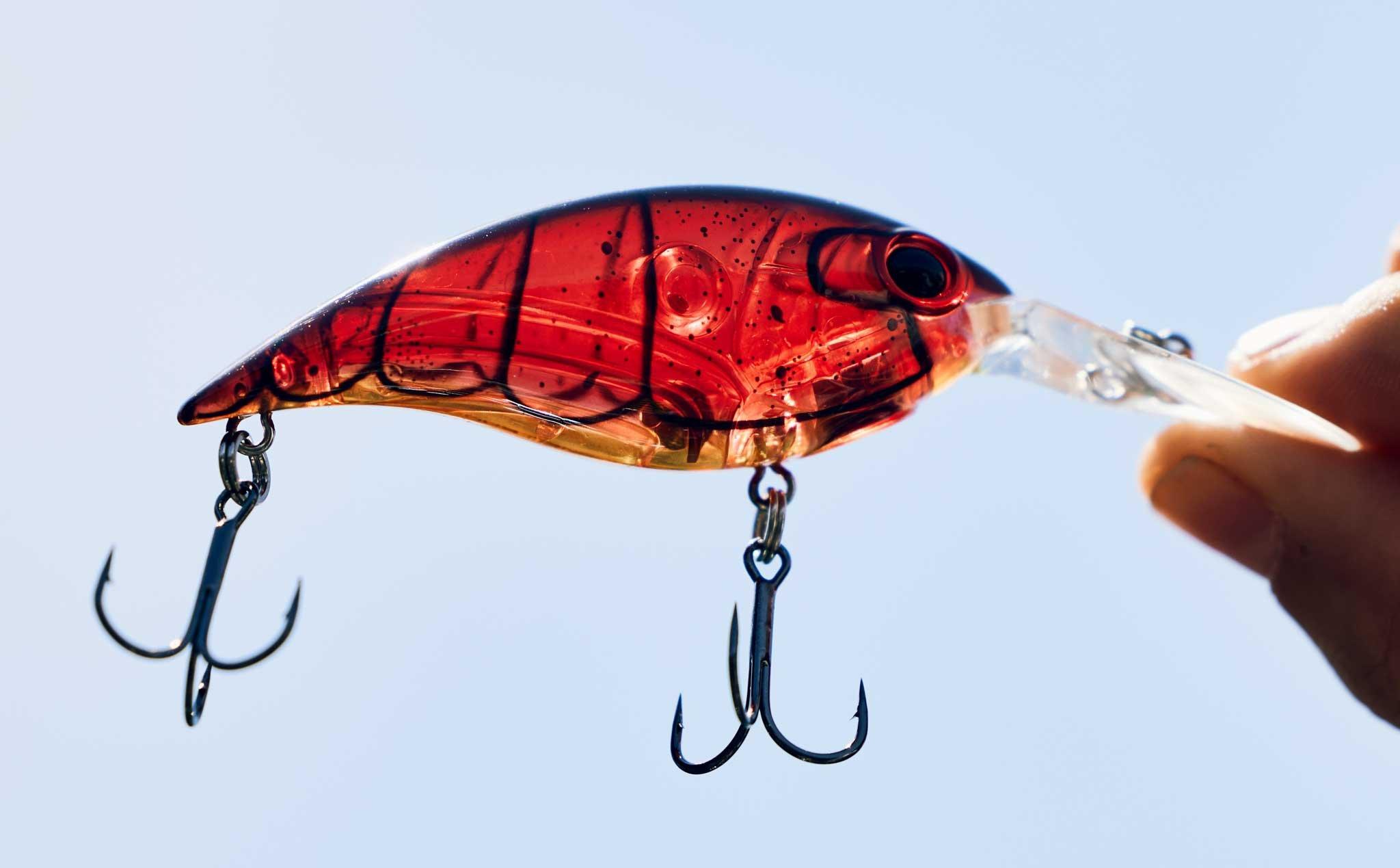 Pure Fishing and Association of Collegiate Anglers Combine in New Program - Fishing  Tackle Retailer - The Business Magazine of the Sportfishing Industry