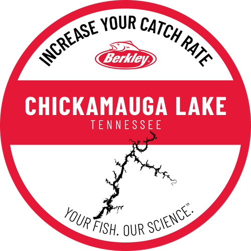 Increase your catch rate at Chickamauga Lake: Tennessee