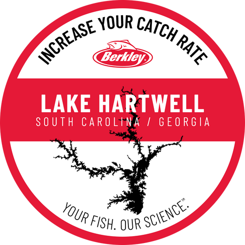 Increase your catch rate at Hartwell Lake: South Carolina / Georgia