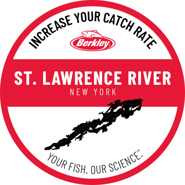 Increase your catch rate at Lake St. Lawrence: New York