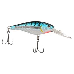 Flicker Shad 7 Shallow Blue Tiger 3-6' - Zone Chasse et Pêche