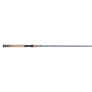 Fenwick Eagle® Casting Rod - Pure Fishing