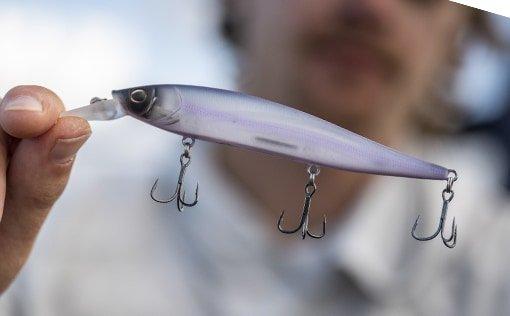Saltwater bait