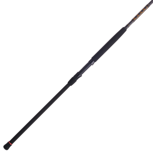 Penn Squadron III Spinning Rod - Rorys