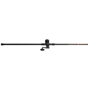 PENN Squall® II Star Drag Combo - Pure Fishing