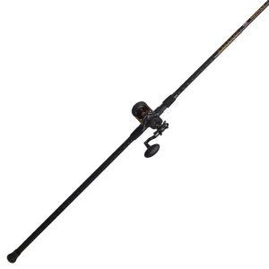 Penn Fishing Squall II Lever Drag Conventional Combo