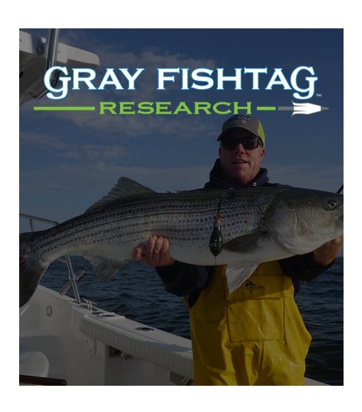 Gray FishTag Research