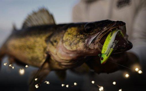 Berkley Profile Walleye Trucker - Pure Fishing