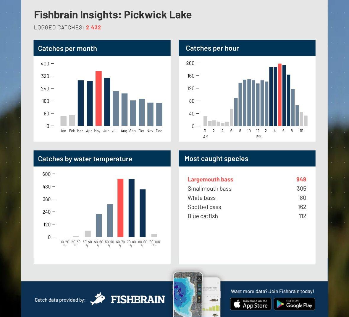 Visit the Fishbrain website