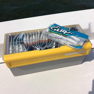 EDGE™ Soft Plastics and Utility Box - Plano