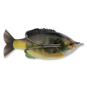 DC Slide Gill - Hollow Body Lure