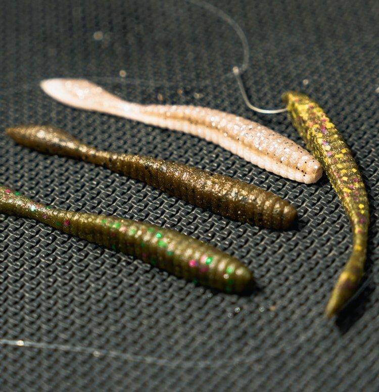 Close up of flat worm baits
