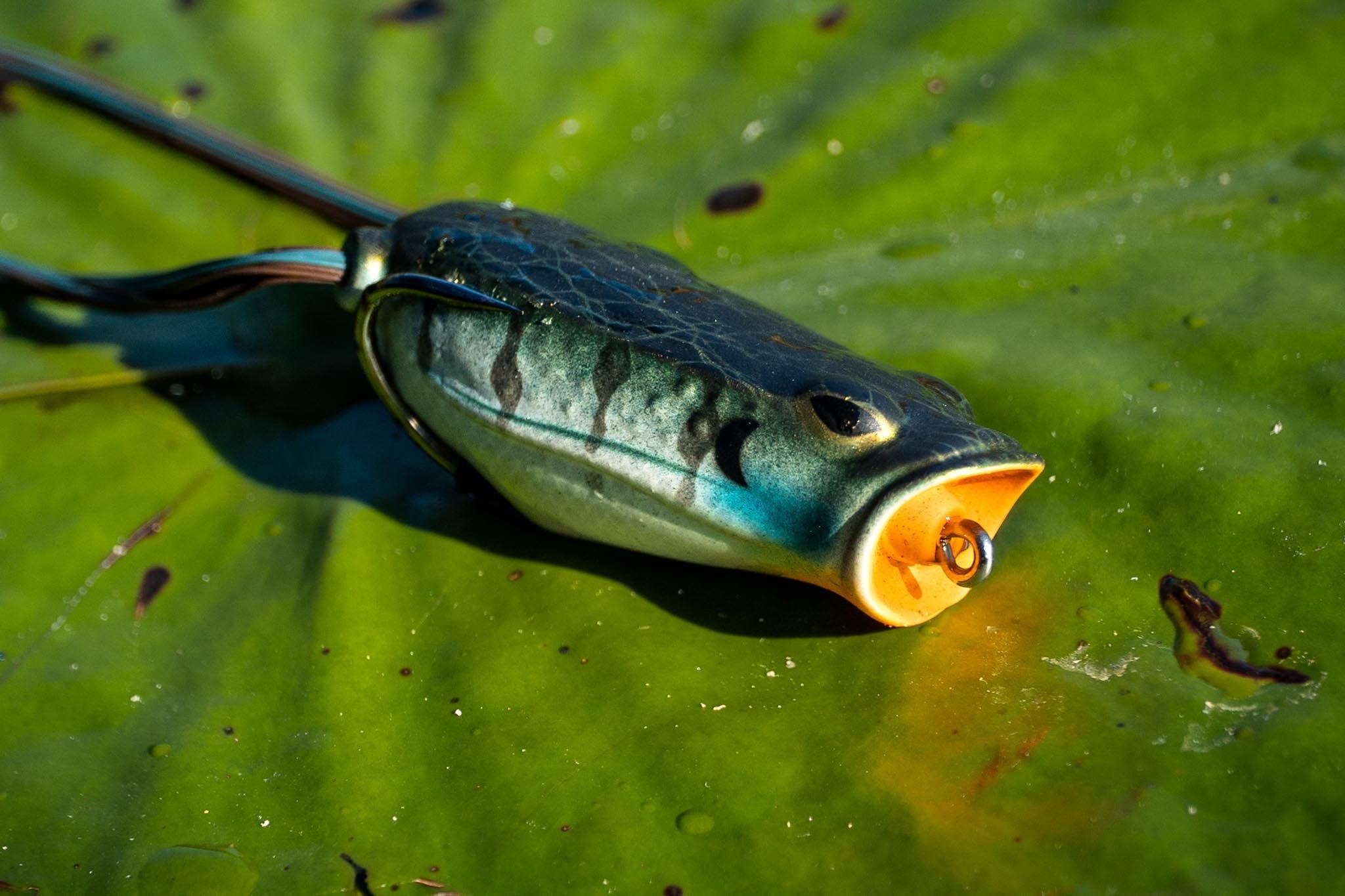 Best Bass Bait For Spring Fishing  Berkley® Fishing - Berkley® Fishing US