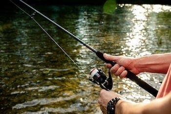 Pure Fishing - Spinning rod - Tackle 