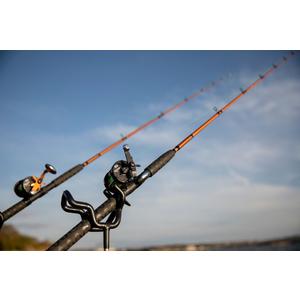 Catfish ugly stik online