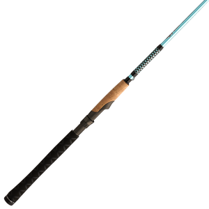 Ugly Stik 6'6” Carbon Casting Rod, One Piece Casting Rod 