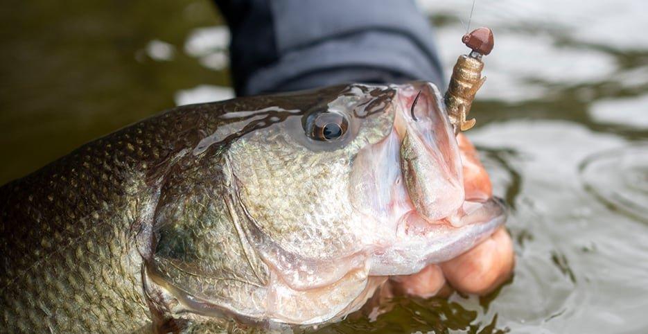 Angler on boat deck wearing Abu Garcia hat