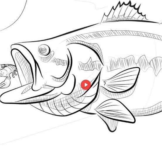 Valentine's Day - Berkley® Fishing US