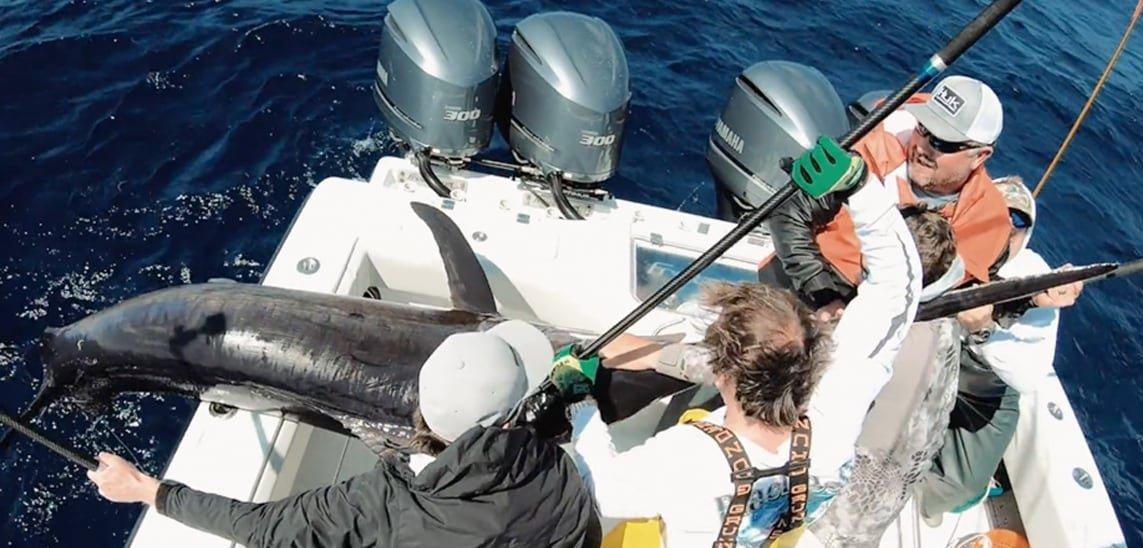 Angler crew pulling swordfish onto boat